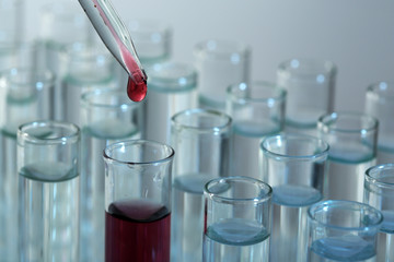 Test tubes on gray background