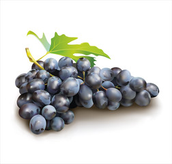 Ripe grape on white  background. Vector