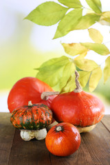 Pumpkins on wooden table on green branch background