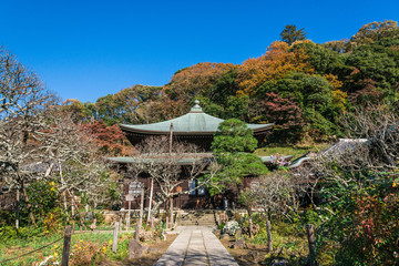 晩秋の鎌倉　瑞泉寺