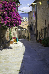 Castiglione della Pescaia, Tuscany, old city. Color image