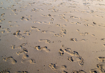 sand