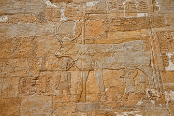 hieroglyphs on wall