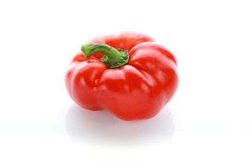 pepper on white background