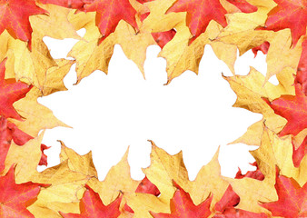 Fall leaves border
