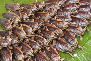 Insects in the fresh market for cooking in Thailand
