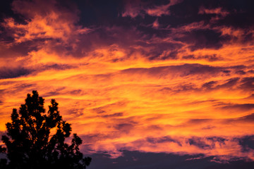 Obraz premium fiery sunset