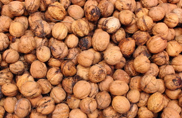 Brown and fresh walnuts as background