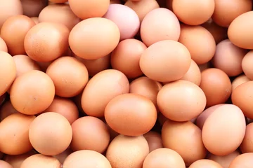 Foto op Canvas fresh eggs for sale at a market © geargodz