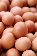 fresh eggs for sale at a market