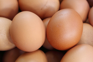 fresh eggs for sale at a market