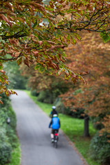 autumn plants background