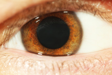 Human eye close-up