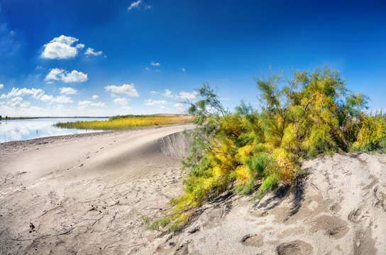 Dune near the lake