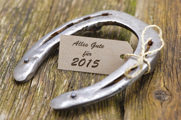 Neujahr 2015 mit Hufeisen als Glücksbringer