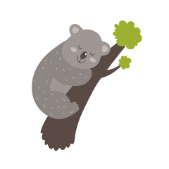 Cute vector koala