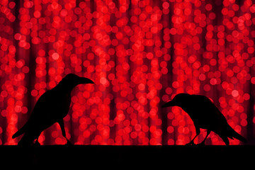 Silhouette crow with festive blur bokeh elegant abstract backgro
