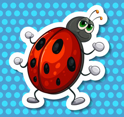 Ladybird