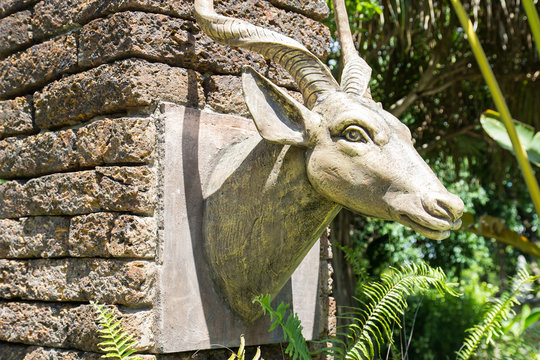the deer head sculpture decorating in the garden