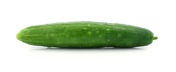 japanese cucumber on white background
