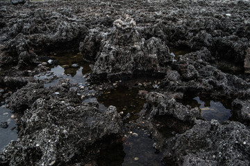 Vulkangestein mit Wasser an Strand
