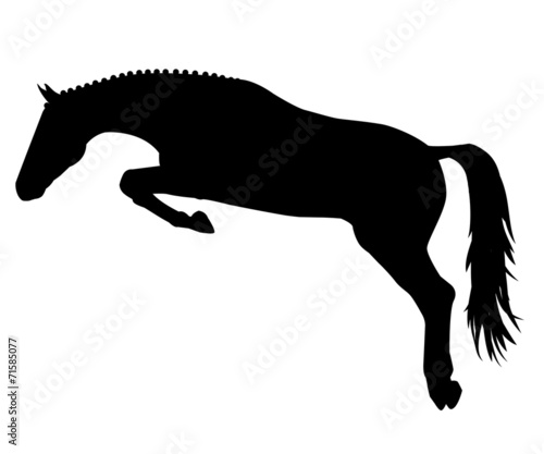 "Springpferd" Stockfotos und lizenzfreie Bilder auf Fotolia.com - Bild