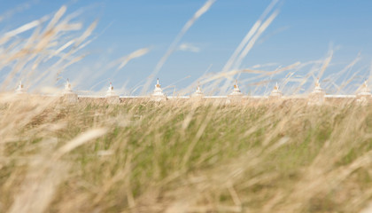 Buddhist monastery Erdene Zu