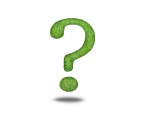 question mark, grass