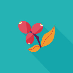 coffee fruit flat icon with long shadow,eps10
