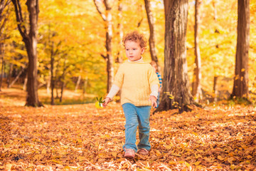girl with green plant walking through fall forest