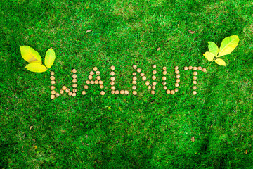 Napis walnut z orzechów włoskich na trawie © Szymon Gryko