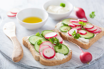 Fototapeta na wymiar healthy sandwich with radish cucumber and cream cheese