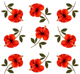 Pattern of beautiful red flowers. Vector.