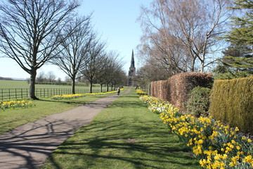 Early Springtime