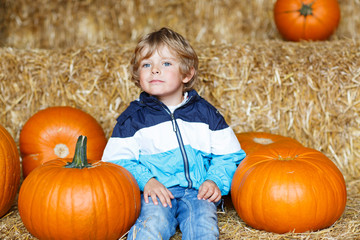 Little cute kid boy sitting with huge pumpkin on halloween or th
