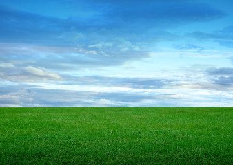Fototapeta na wymiar soccer field and beautiful blue sky