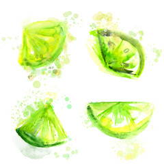 Obraz premium Four slices of green limes. Watercolor illustration, vector