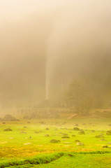 Hot Spring and Mist