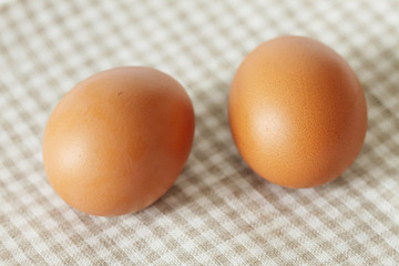 chicken eggs on pattern background