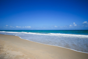Fototapeta na wymiar Beach and tropical sea