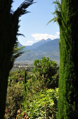Alpenblick in Meran