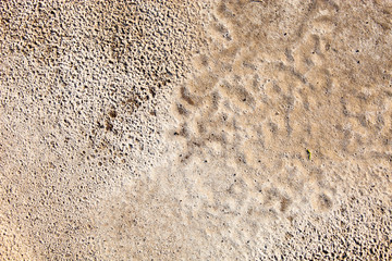 Sand surface after the rain
