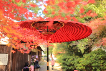 紅葉と傘