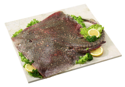 Razza