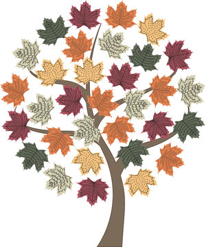 autumn tree maple