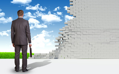 Businessman and ruined brick wall with nature landscape