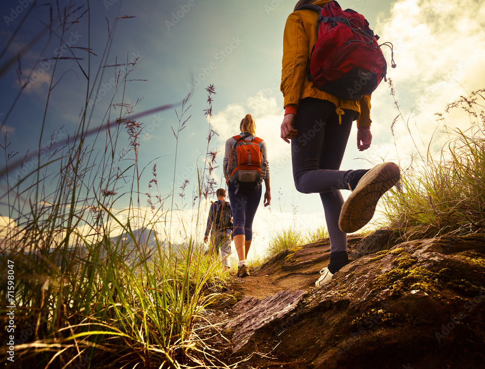 Wall mural Hikers