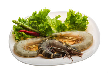 King and waterleg shrimps