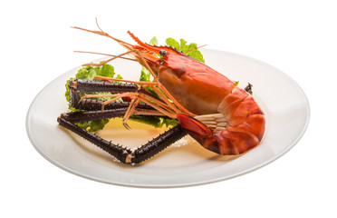 Giant Freshwater Prawn