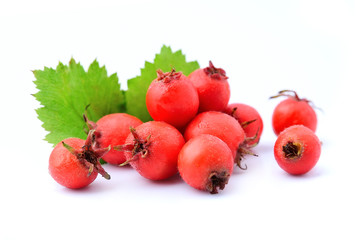 Hawthorn berries